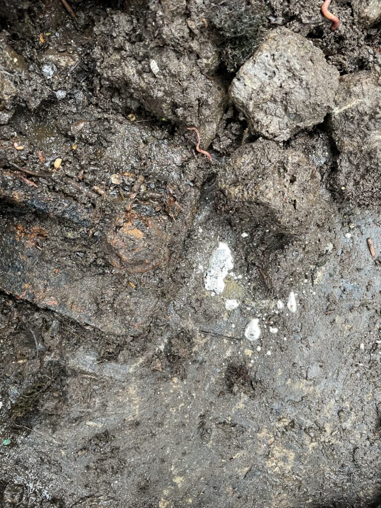 IMG_2273 Asbestos Experts